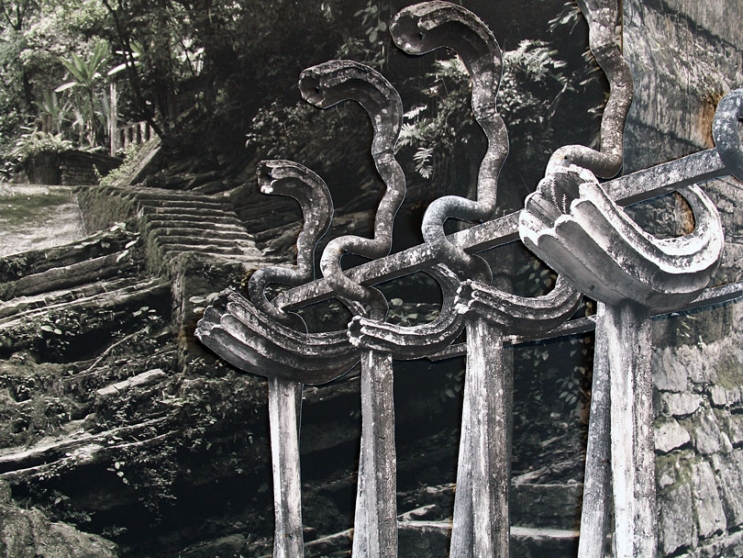 http://www.pbx.mirunadragan.com/files/gimgs/th-6_IMG_2470_Xilitla_W.jpg