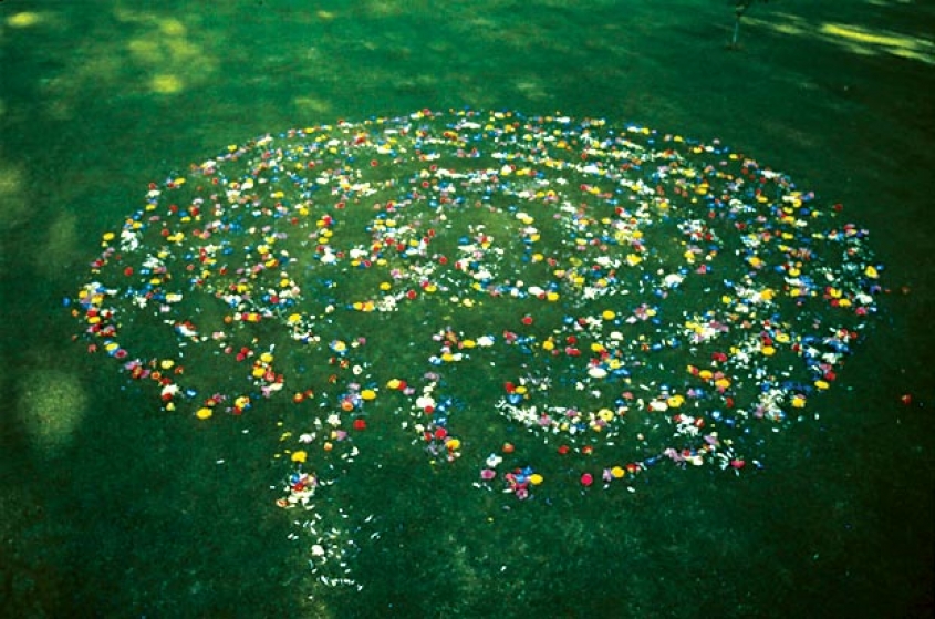 http://www.pbx.mirunadragan.com/files/gimgs/th-16_void2_1photo2.jpg