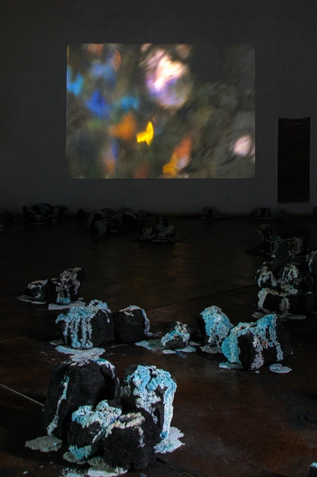 http://www.pbx.mirunadragan.com/files/gimgs/th-71_IMG_4018_W.jpg