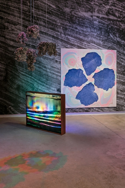 http://www.pbx.mirunadragan.com/files/gimgs/th-54_Untitled2_W.jpg